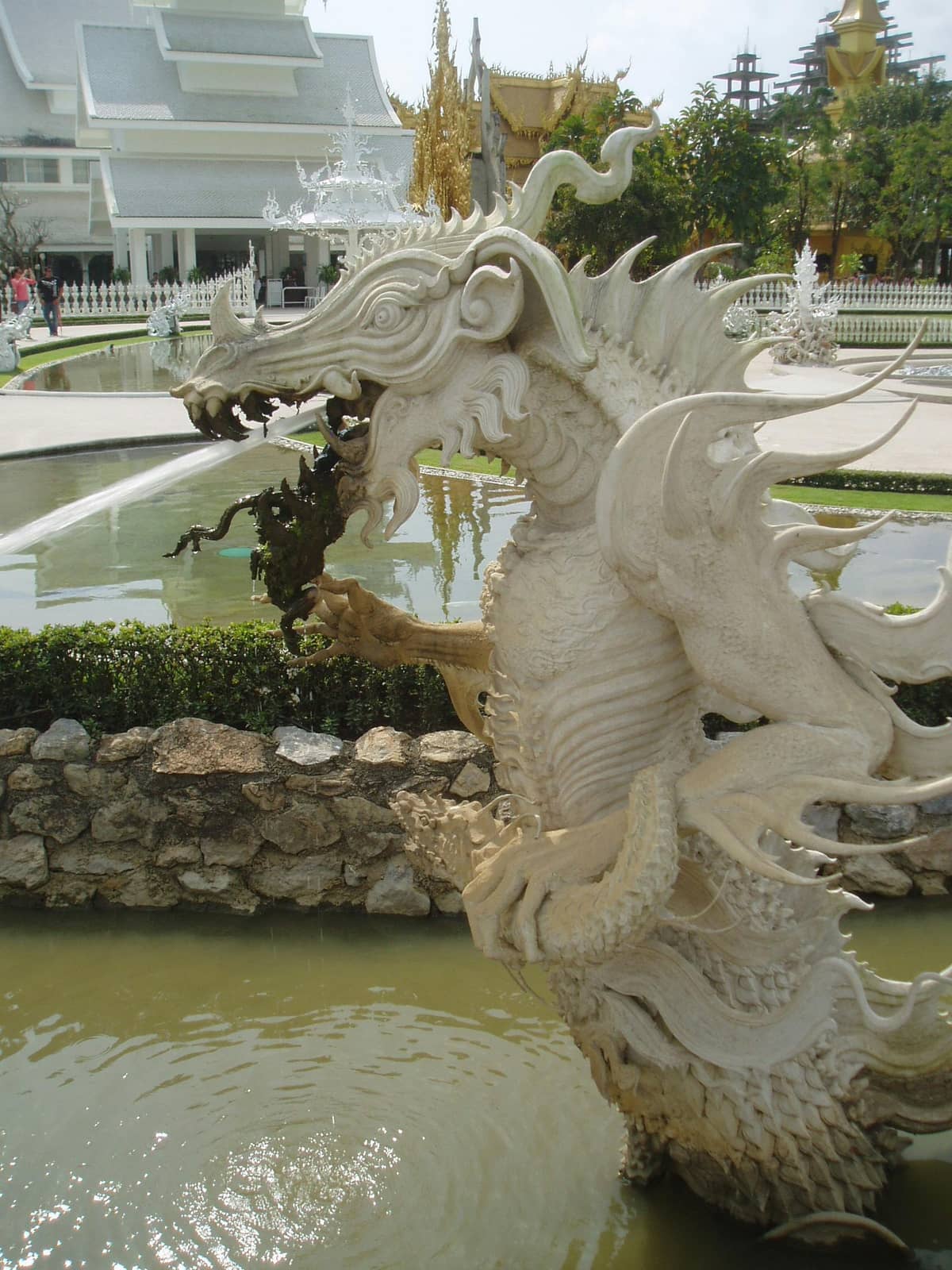 The Fountain and Surrounding Gardens